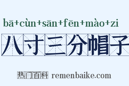 八寸三分帽子是什么意思的图片